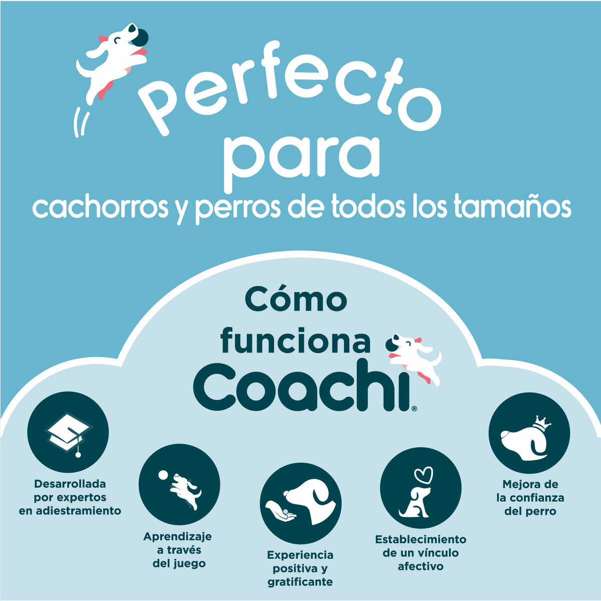 Reisikott Coachi Train & Treat Sinine